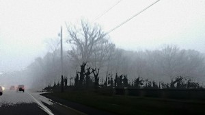 Foggy Road B&W