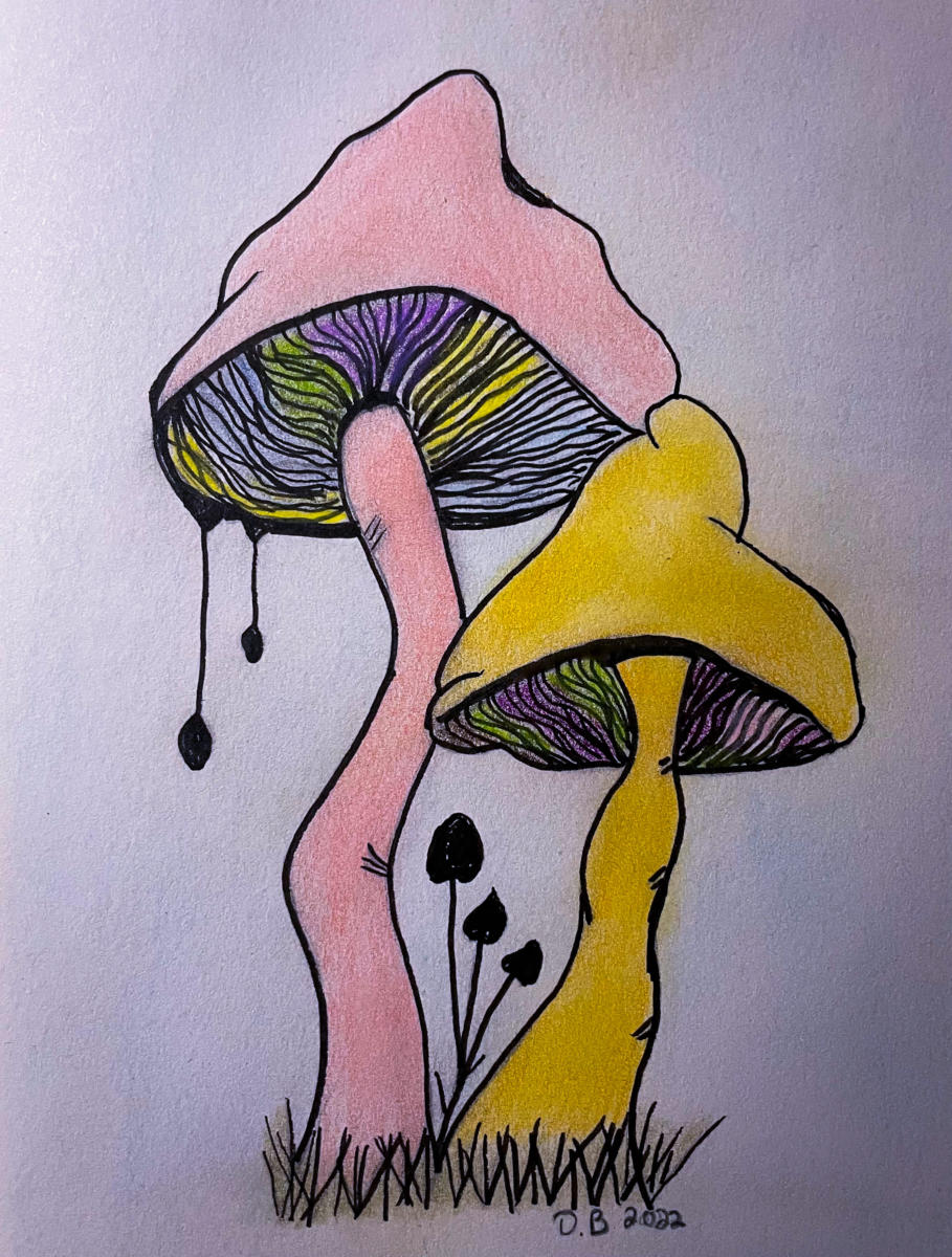 62568F92-607D-40CB-95AF-F6927D7F2526