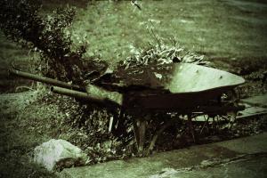 Wheelbarrow