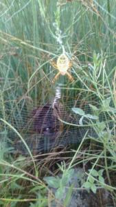 ANOTHER-AUTUMN-(1)-1-cl