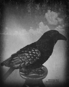 crow 