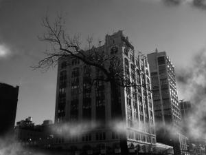 Building and Trees