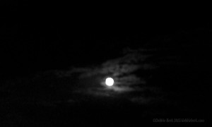full moon 