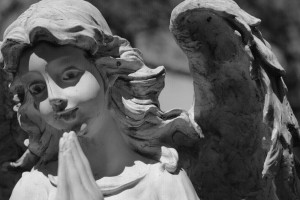 on my wings (forever)